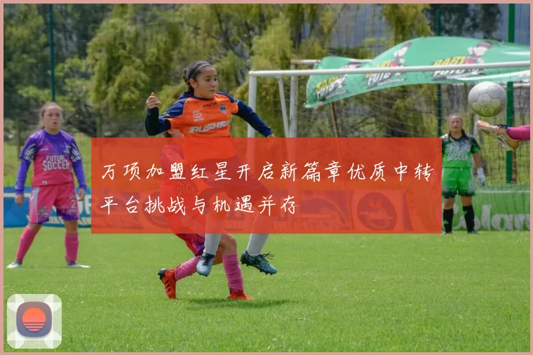 万项加盟红星开启新篇章优质中转平台挑战与机遇并存